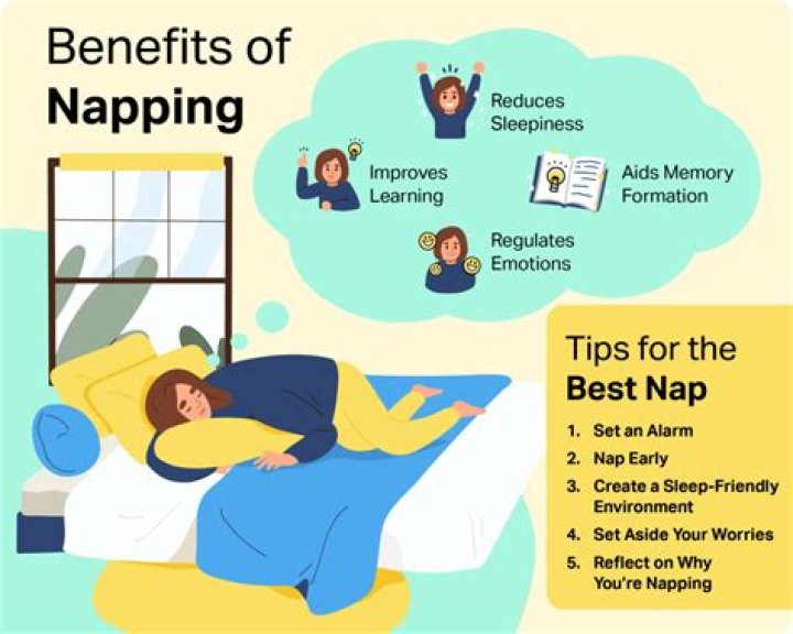 Whats the definition of napping?