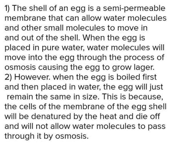 When a de shelled egg is placed in pure water?