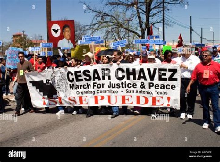 When did cesar chavez start protesting?