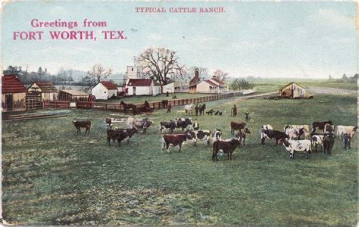When did ranching begin in texas?