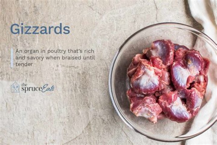 When does the gizzards come from?