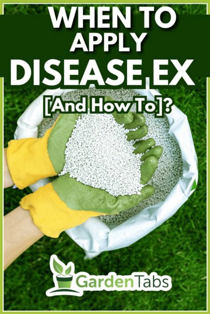 When to apply disease x?