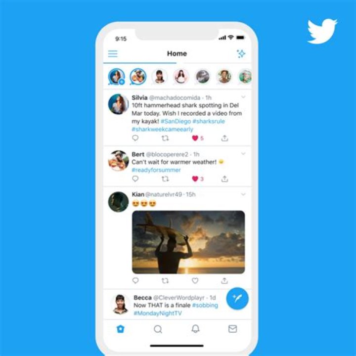 Where are fleets on twitter?