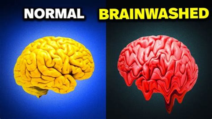 Where did the term brainwashing come from?