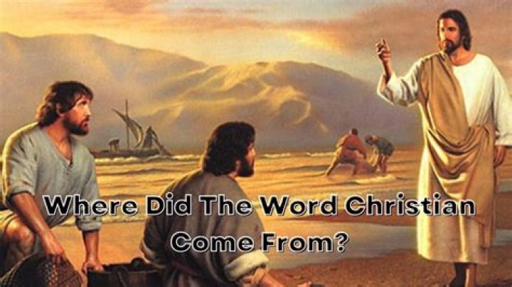 Where did the word shamelessly come from?