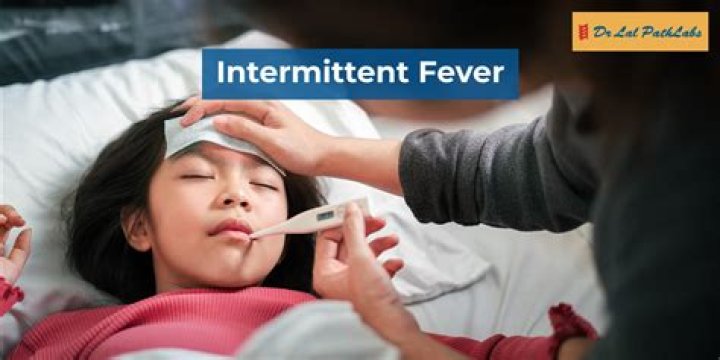 Where is intermittent fever?