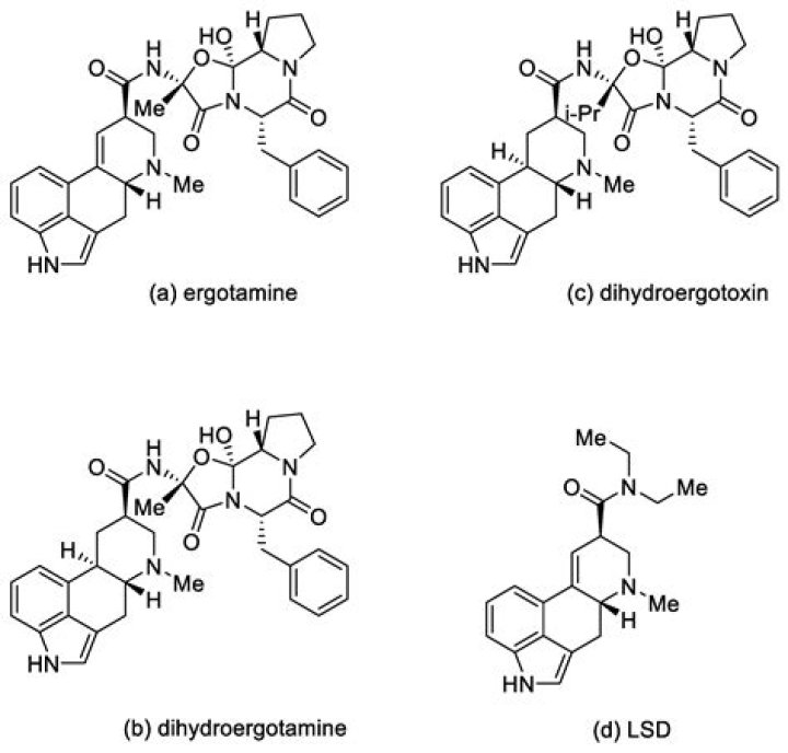 Where is lysergic acid found?
