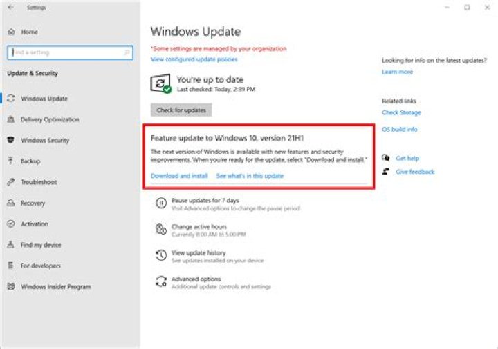Where is the update folder?