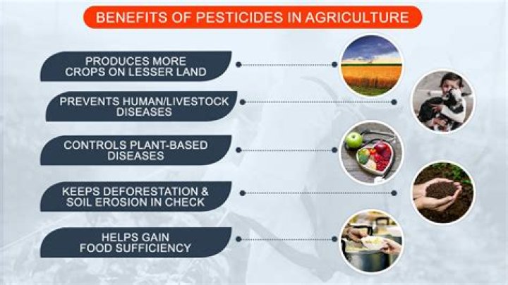 Where pesticide come from?