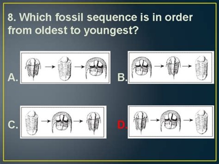 Which fossil sequence is in order from oldest to youngest?
