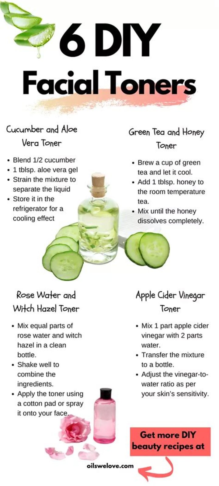 Which homemade toner is best for oily skin?