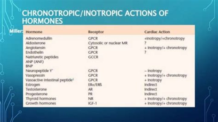 Which of the following is a positive chronotropic agent?