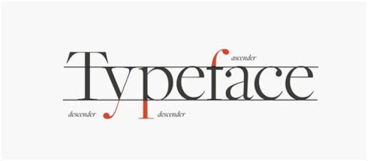 Which typefaces have diagonal stress?