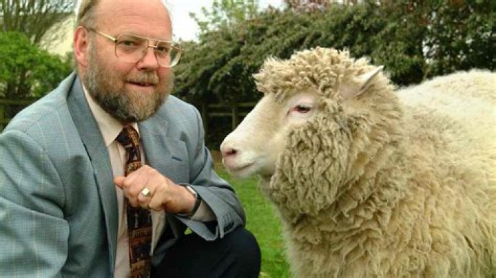 Who cloned the first sheep?