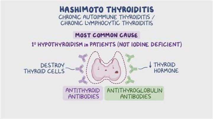 Who discovered hashimoto's thyroiditis?
