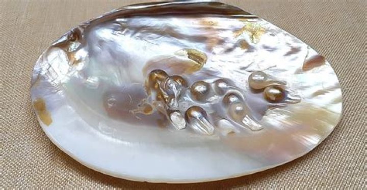 Who is mother of pearl?