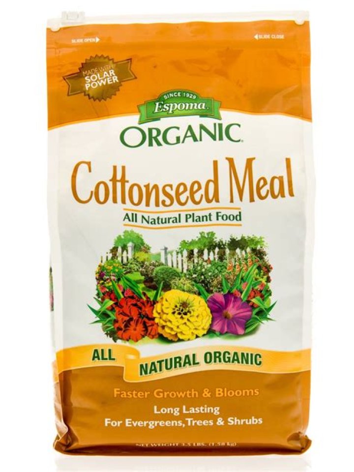 Why cottonseed meal feed?