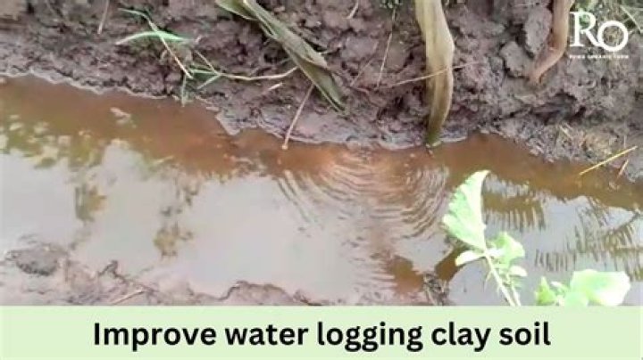 Why do clay soils tend to be waterlogged?