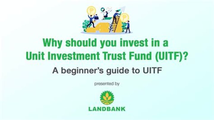 Why invest in uitf?