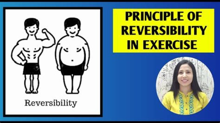 Why is reversibility important in training?