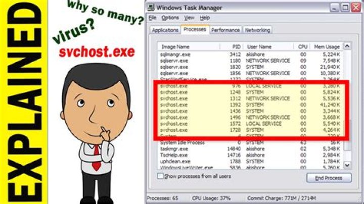 Why so many svchost.exe running?