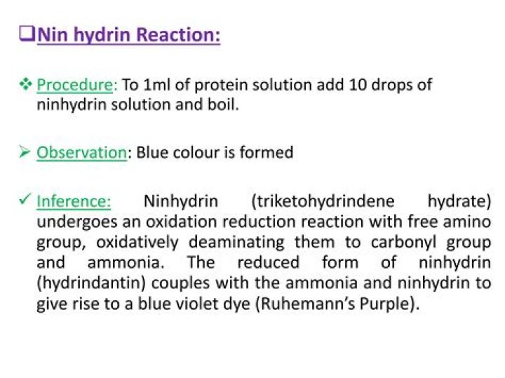 Why will ninhydrin cause blue-purple stains?