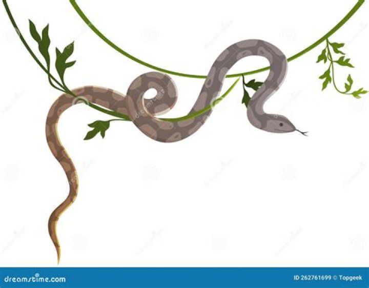 Will a snake slither over a rope?