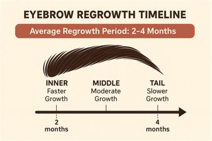 Will plucked eyebrows grow back?