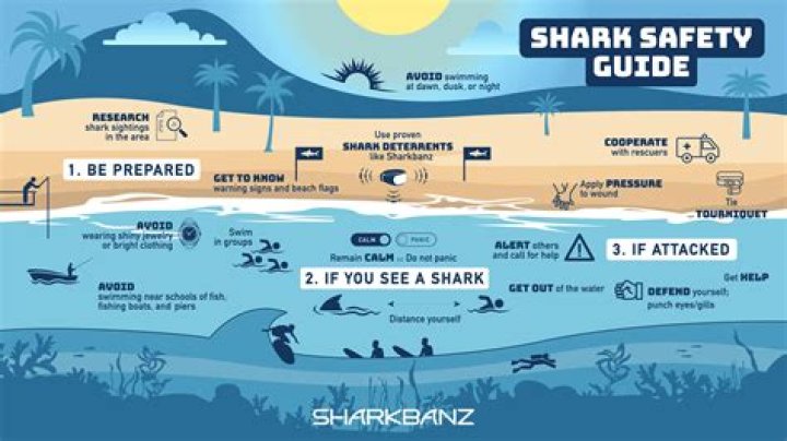 Would chlorine kill a shark?